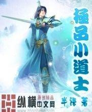 香港二四六308K天下彩创尔特抽油烟机